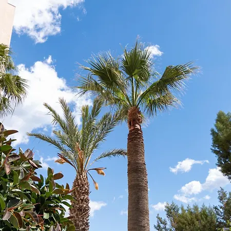 Lägenhet Piale Palms Makenzie Front Airport Area